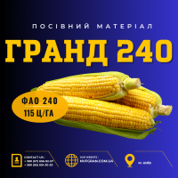 Гран 240 (ФАО 240) насіння кукурудзи, Українська селекція