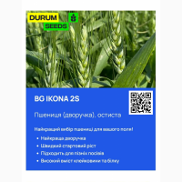 Насіння пшениці - БГ Ікона 2С (BG Ikona 2S) пшениця м#039;яка дворучка (Biogranum D.O.O.)