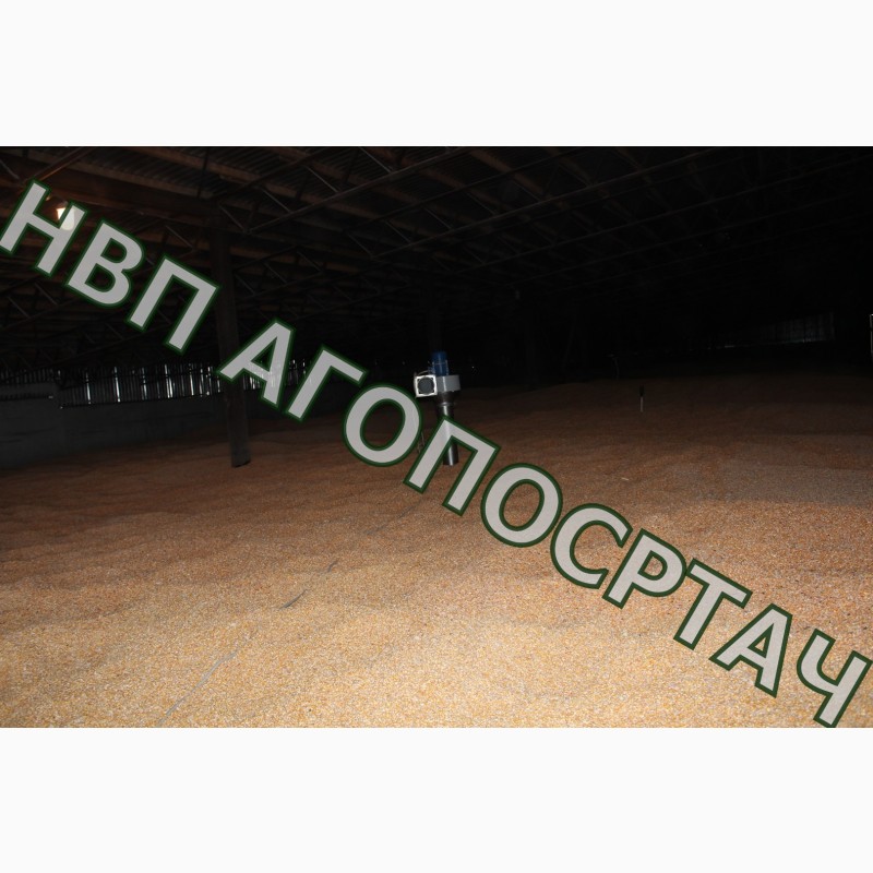 Фото 2. Високопродуктивний аератор зерновий зерновентилятор