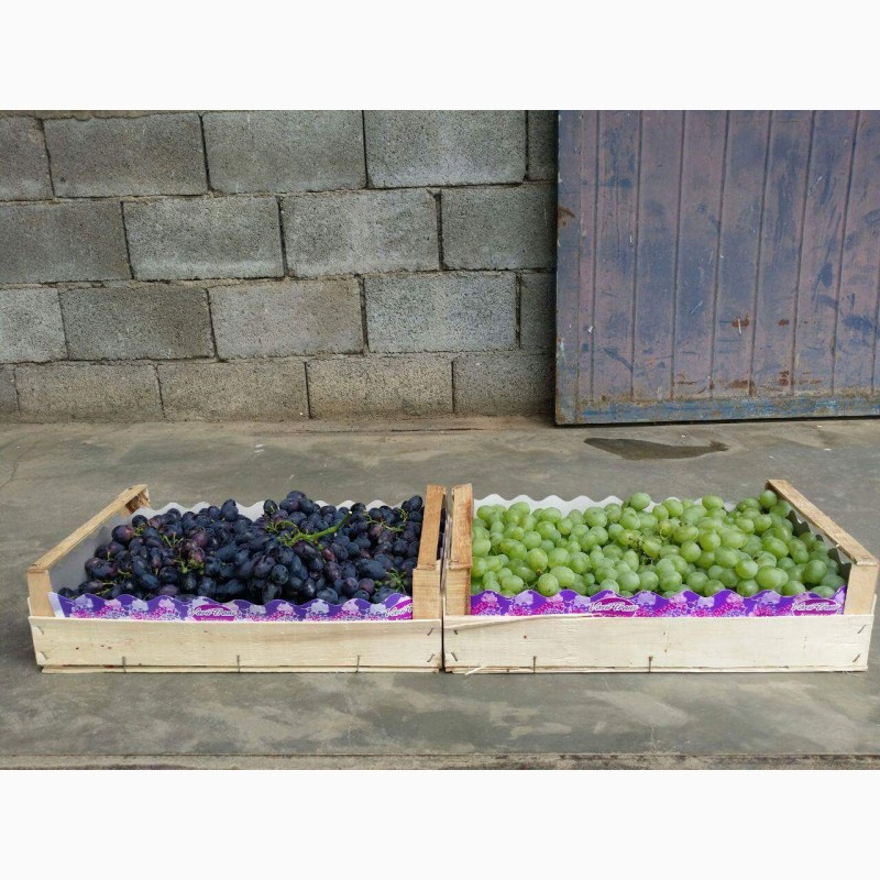 Фото 7. Ящики-лотки для упаковки черешни и персика урожая 2021г.Крым