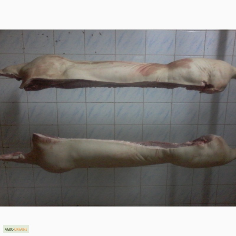 Фото 3. Свинина в напівтушах, та субпродукти свинні