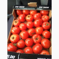 Продам помидоры Киев 25 грн кг с доставкой по киеву купить помидоры киев по оптовым ценам