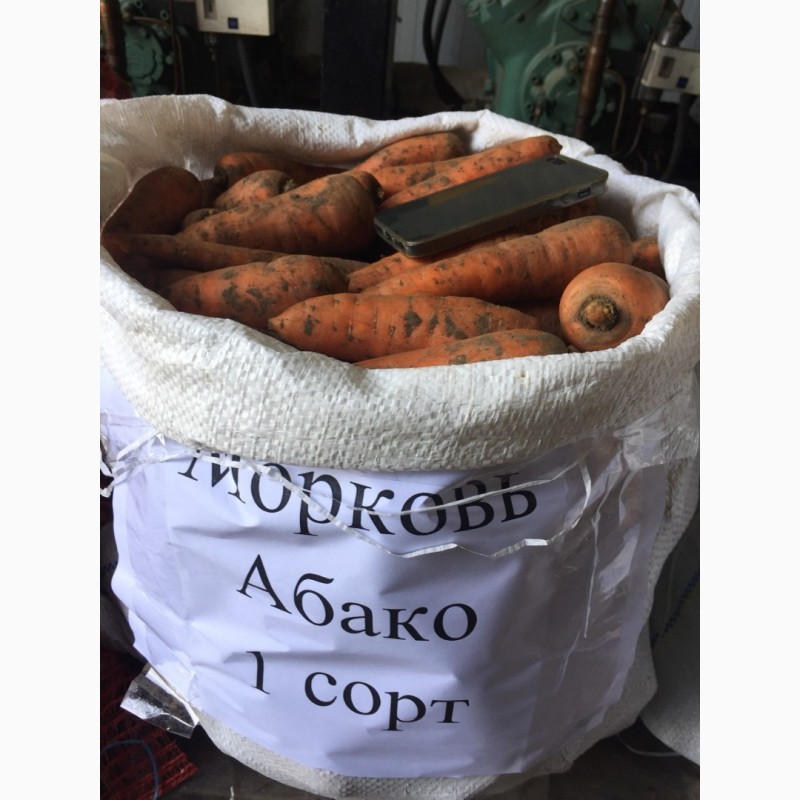 Фото 4. Продам морковь Абако 1 сорт (нал, безнал) доставка