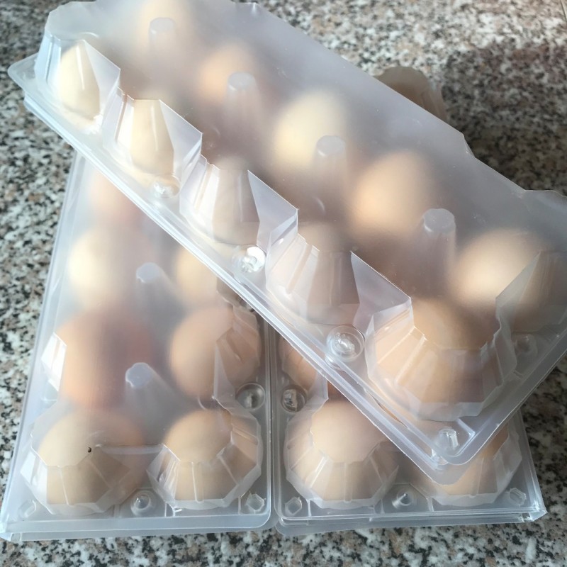 Фото 4. Домашні курячі яйця