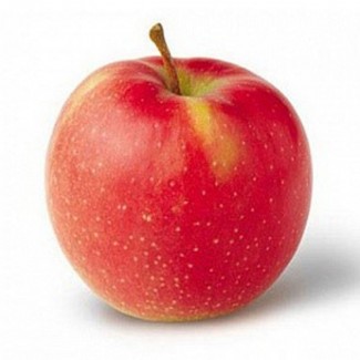 Продам яблоки сорта Джонаголд