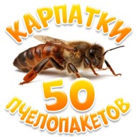 Продам 50 пчелопакетов, карпатка