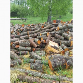 Продам топливные дрова