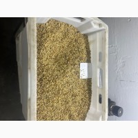 Продам чисту горіхову крихту 4-6 мм