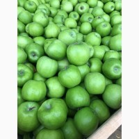 Яблука високосортні-врожай 2019 року