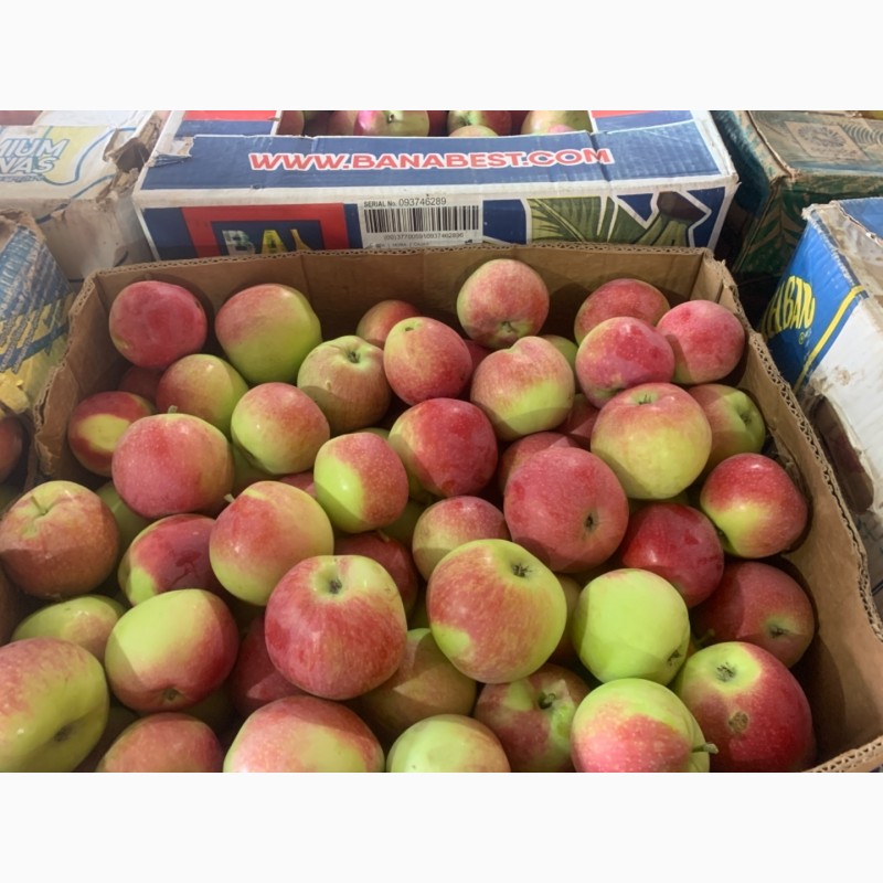 Фото 2. Фермерське господарство реалізує яблука 2021р