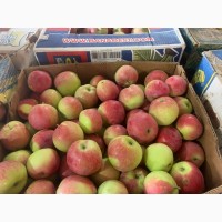 Фермерське господарство реалізує яблука 2021р