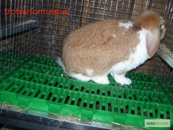 Фото 2. Платиковые полы для кроликов