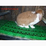 Платиковые полы для кроликов
