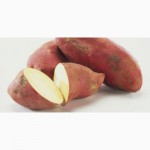 Батат - сладкий картофель