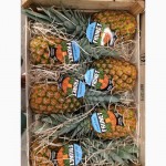 Продаем ананасы из Испании