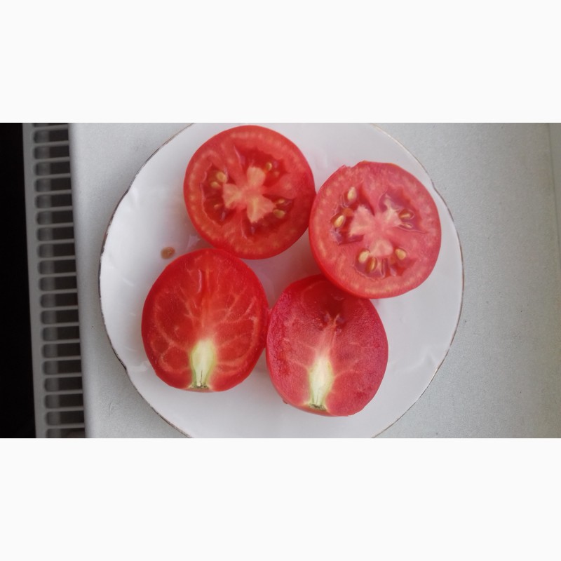 Фото 4. Продам томат (помидоры)