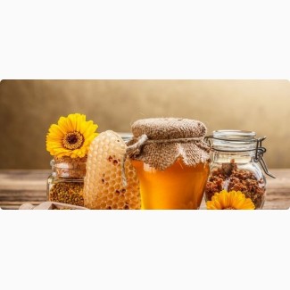 Скупаем мед и пчелопродукты оптом