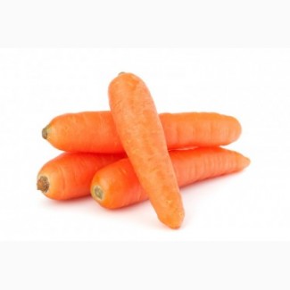 Продам Морковку