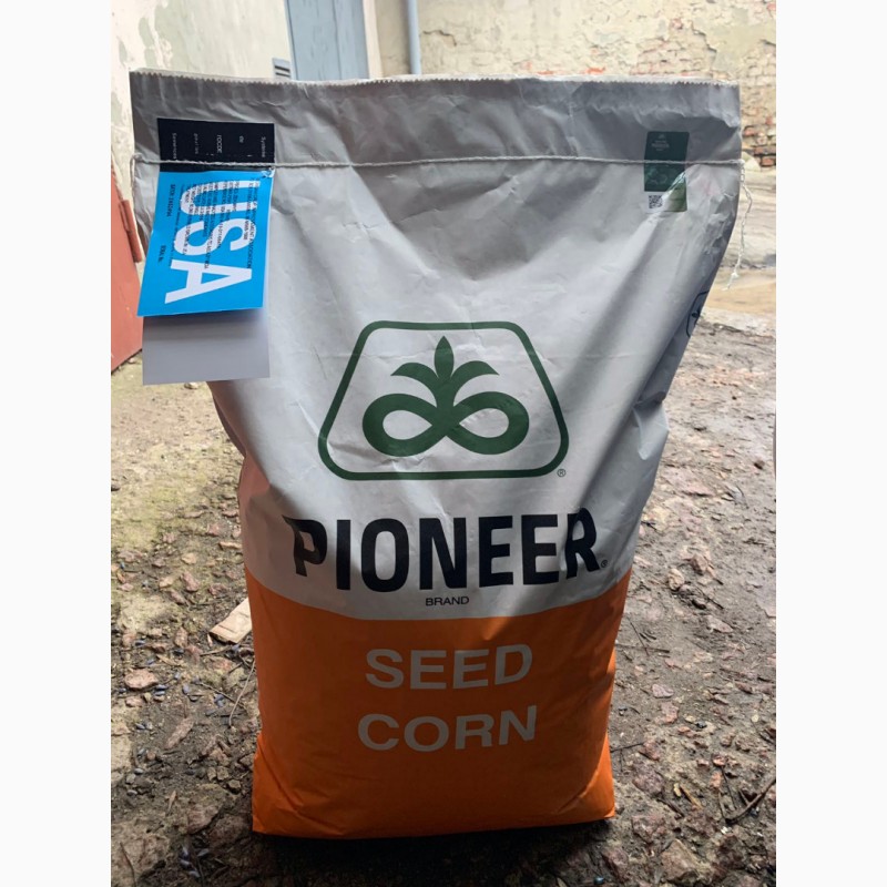 Фото 2. PIONEER Р9074 (Піонер П9074) - насіння кукурудзи
