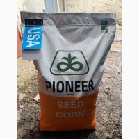 PIONEER Р9074 (Піонер П9074) - насіння кукурудзи