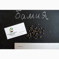 Бамия семена (20 штук) (окра, Абельмош съедобный, гомбо, дамский пальчик)