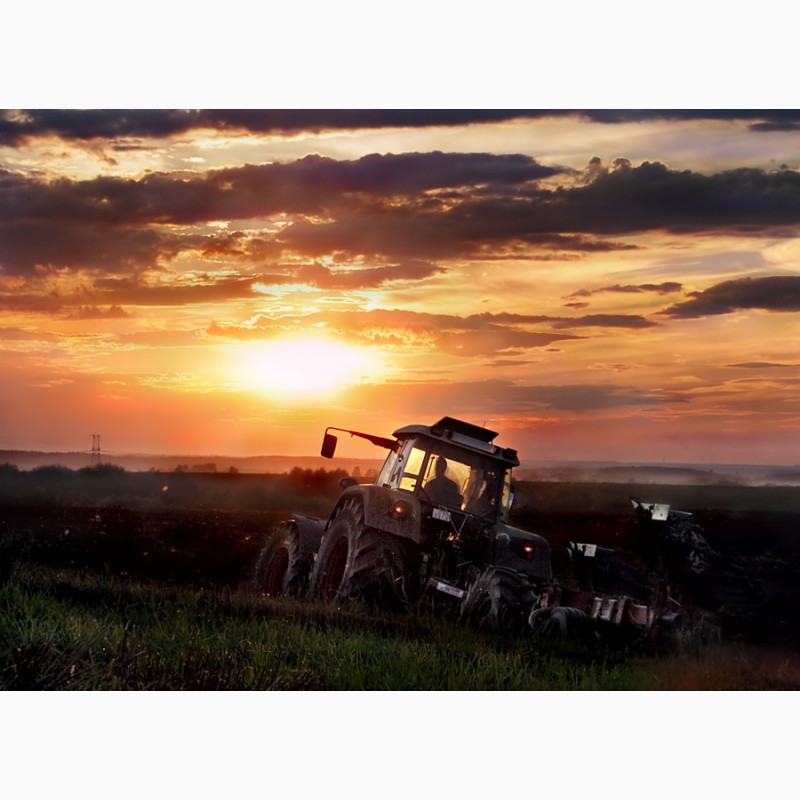 День и ночь пашет. Трактор в поле. Трактор в поле фон. Трактор на закате. Красивый трактор.