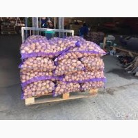 Продажа качественого картофеля