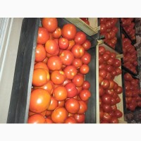 Продам помідор власного виробництва
