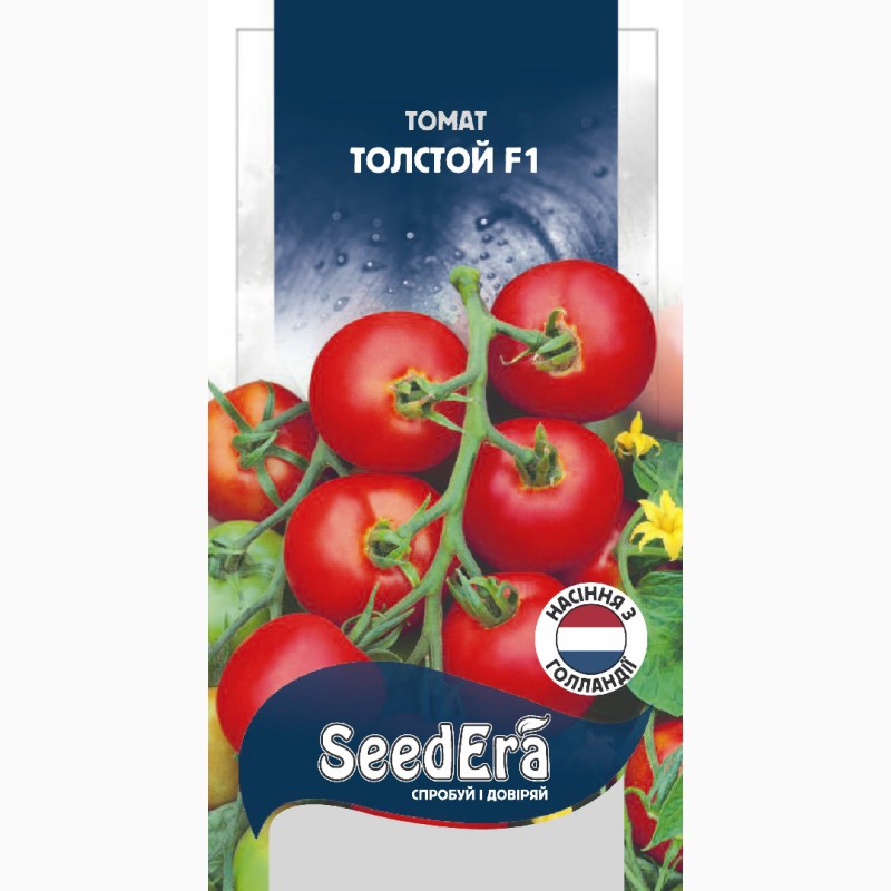Купить томаты толстой. Семена томат толстой f1 Bejo. Семена Гавриш Bejo томат толстой f1 10 шт.. Томат толстой f1. Томат толстой f1 12 шт.