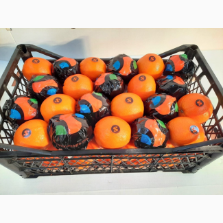 Продаем апельсин сорта Вашингтон (прямой импорт из Турции)