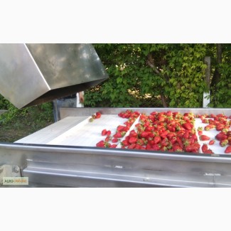 Барботажная моечная машина для мойки овощей и ягод