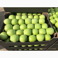 Продажа яблок: Ред Джонапр, Голден, Фуджи