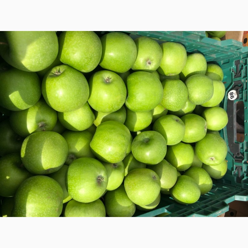 Фото 3. Продажа яблок: Ред Джонапр, Голден, Фуджи