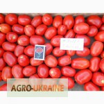 Фото 3. Продам помидоры от производителя, сорт Стелла Ред и Чезена, плоды массой по 80-90 грамм