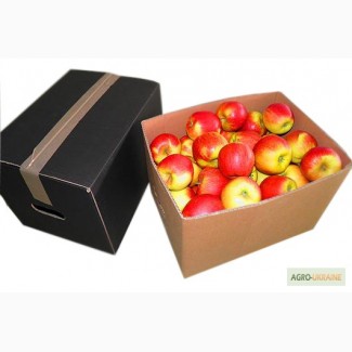 Ящики для Яблок, лоток для яблок, тара для яблок
