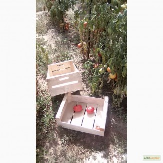 Ящик для помидор