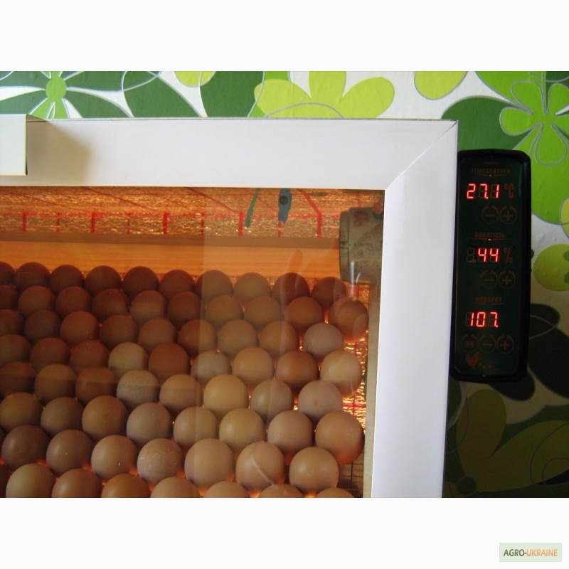 Фото 7. Лучшие инкубаторы тандем с закладкой от 60 до 3000 яиц