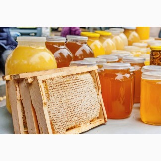 Закупка мёда от 500 кг по всей Украине