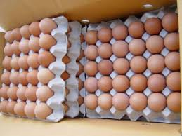 Продам куриное яйцо 1, 2 категории от 150-450 ящиков в день