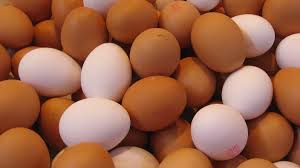 Фото 4. Продам куриное яйцо 1, 2 категории от 150-450 ящиков в день