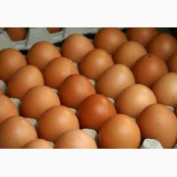 Продам куриное яйцо 1, 2 категории от 150-450 ящиков в день