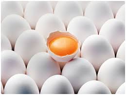 Фото 6. Продам куриное яйцо 1, 2 категории от 150-450 ящиков в день