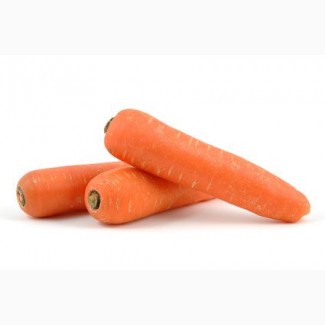 Куплю Морковь