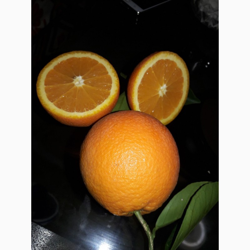 Фото 2. Турецкие апельсины