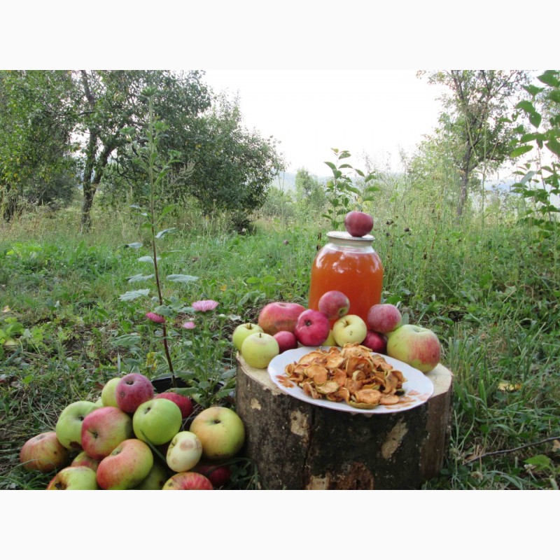 Фото 11. Сок яблочный домашний с горного сада Карпат