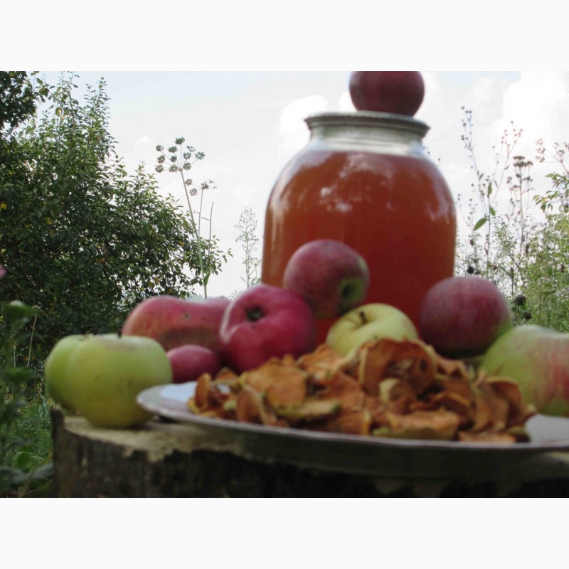 Фото 13. Сок яблочный домашний с горного сада Карпат