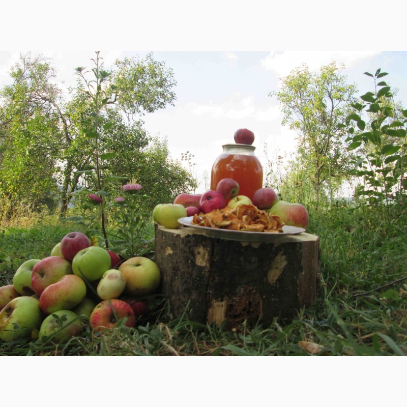 Фото 19. Сок яблочный домашний с горного сада Карпат