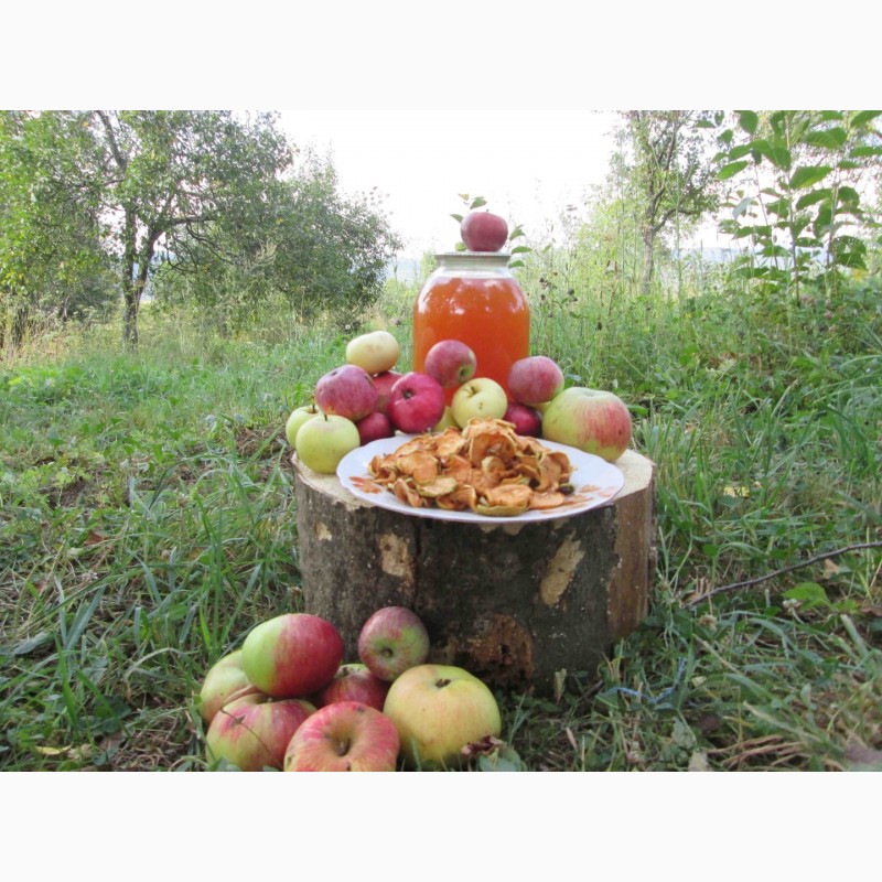 Фото 4. Сок яблочный домашний с горного сада Карпат