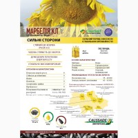 Продам насіння соняшнику Марбелія КЛ від Кассад Семанс під євролайтинг 109 євро