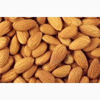 Selling Almond Nuts